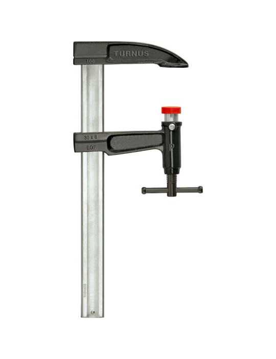 Tornillo de apriete con émbolo mango en T 2500x140 mm Riel 35x9 mm TURNUS
