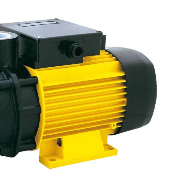 Bomba de superficie VOLGA 707 4T-V24 GARLAND