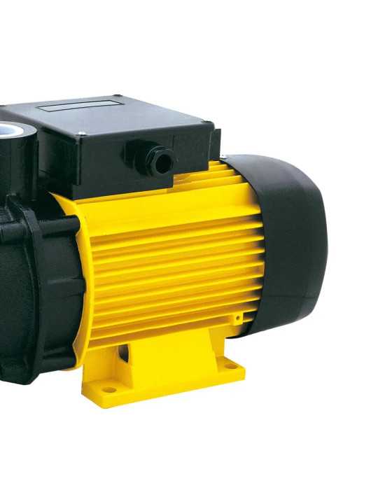 Bomba de superficie VOLGA 707 4T-V24 GARLAND