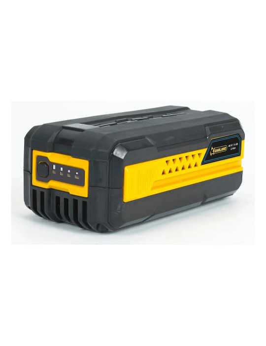 Cargador rápido de baterías KEEPER 40V CHARGER FAST-V19 GARLAND