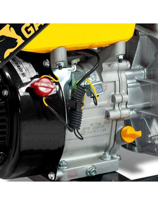 Motobomba de gasolina GEISER 801QG-V23 GARLAND
