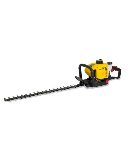 Peinadora/Barredora a gasolina ROLL&COMB 602 QG-V21 GARLAND