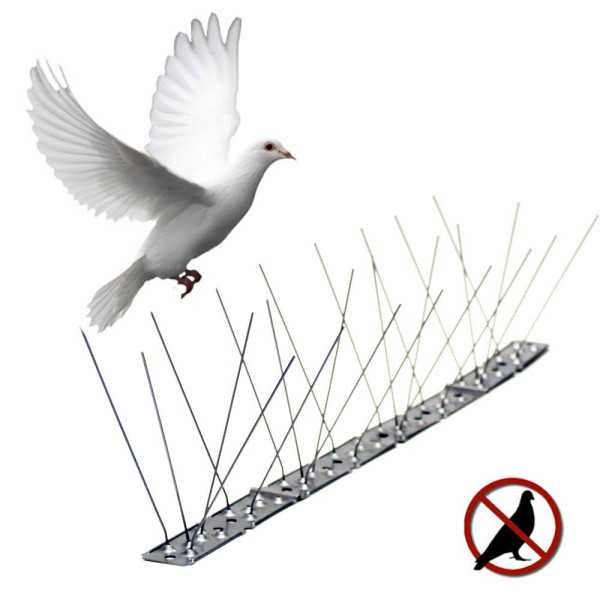 Lote de 25 Unidades Varilla Disuasoria para Aves, Anti Palomas, Acero Inoxidable, 100 x 2,5 x 11 cm EURO BIRDS