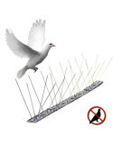 Lote de 25 Unidades Varilla Disuasoria para Aves, Anti Palomas, Acero Inoxidable, 100 x 2,5 x 11 cm EURO BIRDS