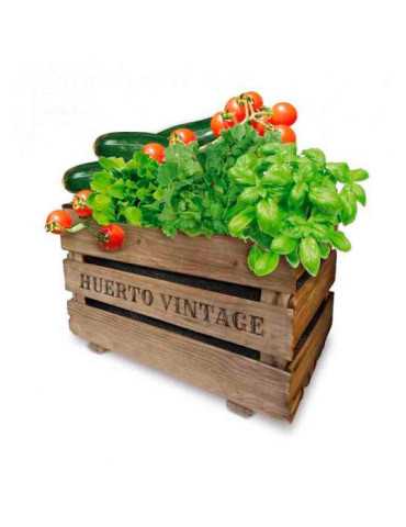 Caja Huerto Vintage Eco 50 x 35 x 30 cm AGREEN
