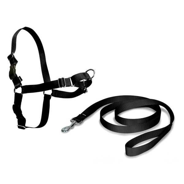 Arnés + Correa, Easy Walk, Negro, T - Mediana, 56 - 81 cm NAYECO
