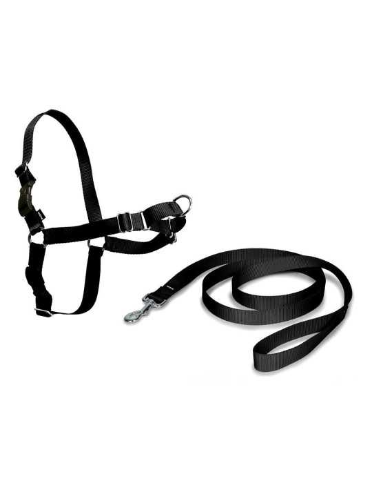 Arnés + Correa, Easy Walk, Negro, T - Mediana, 56 - 81 cm NAYECO