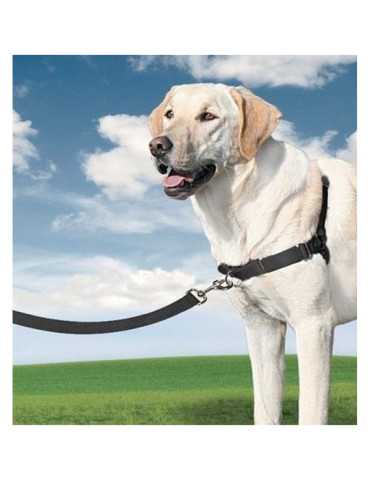 Arnés + Correa, Easy Walk, Negro, T - Mediana, 56 - 81 cm NAYECO 2