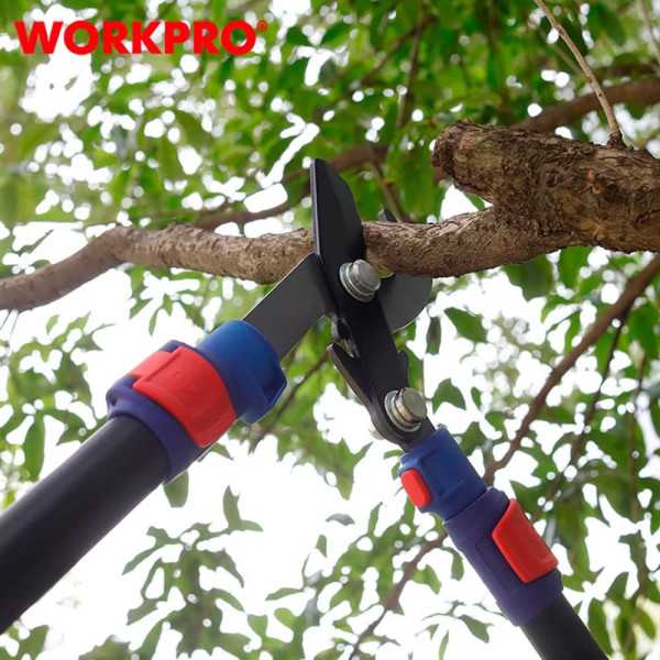 Tijeras Poda Dos Manos Bypass, Extensible 625 - 925 mm, Ahorro Esfuerzo, Capacidad Máxima Corte Ø44 mm WORKPRO