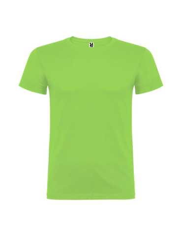 Lote de 5 Unidades Camiseta Beagle Verde Oasis T.s ROLY