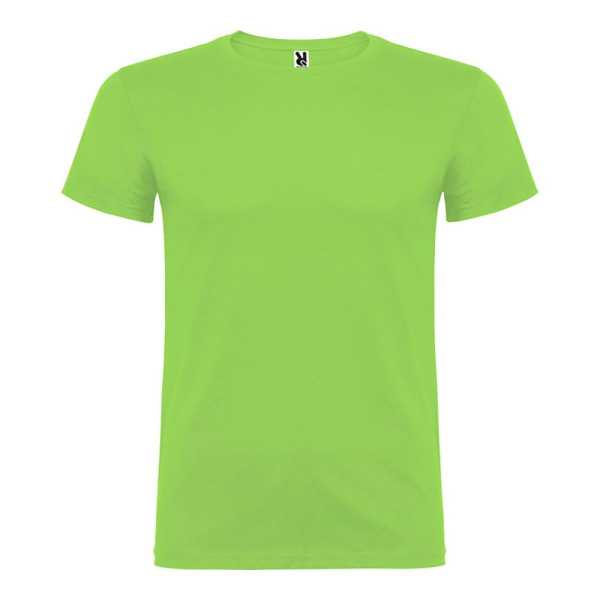 Lote de 5 Unidades Camiseta Beagle Verde Oasis T.s ROLY