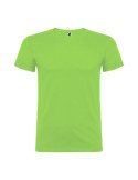 Lote de 5 Unidades Camiseta Beagle Verde Oasis T.2XL ROLY
