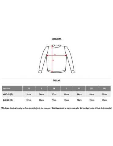 Lote de 10 Unidades Sudadera Aneto Negro T-M ROLY 2