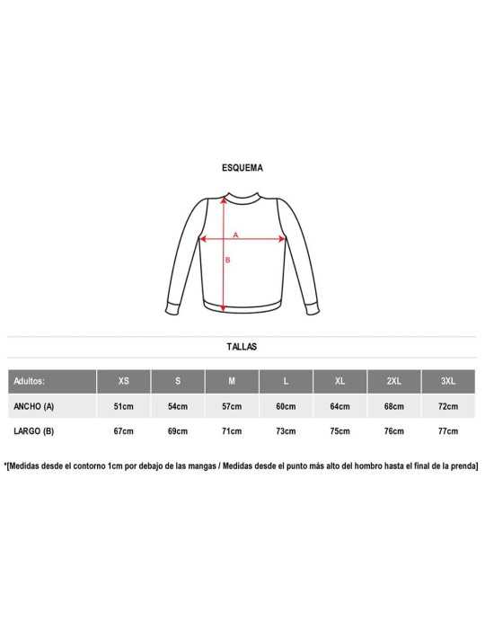 Lote de 10 Unidades Sudadera Aneto Negro T-L ROLY