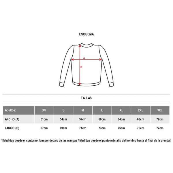 Lote de 10 Unidades Sudadera Aneto Negro T-Xl ROLY