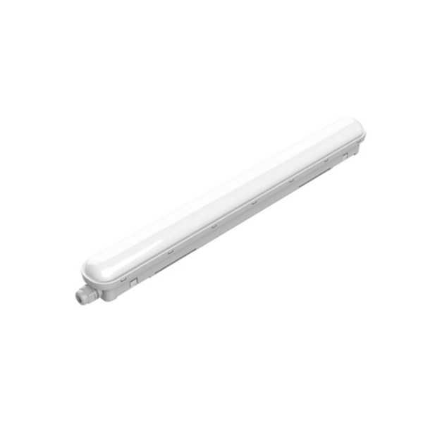 Regleta Estanca Projectline 4000 k 2000 lm Luz Dia, 60 cm PHILIPS