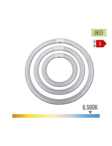 Lote de 3 Unidades Tubo Fluorescente Circular Trifosforo 22W 6500 K Luz Fria Ø21 cm PHILIPS
