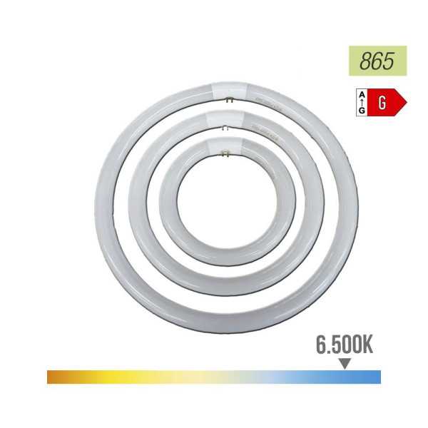 Lote de 3 Unidades Tubo Fluorescente Circular Trifosforo 22W 6500 K Luz Fria Ø21 cm PHILIPS