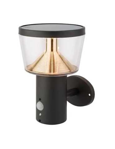 Aplique Solar de Pared con Sensor de Movimiento, Luz Fija, 40 LEDS, 600 Im, Antracita, Ø16 x 17 x 23 cm LUMINEO