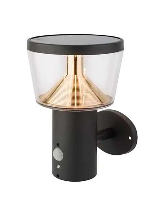 Aplique Solar de Pared con Sensor de Movimiento, Luz Fija, 40 LEDS, 600 Im, Antracita, Ø16 x 17 x 23 cm LUMINEO