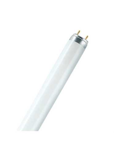 Lote de 25 Unidades Tubo Fluorescente 18 W 6500 K 1250 lm T8 60 cm G13 Luz Fria OSRAM