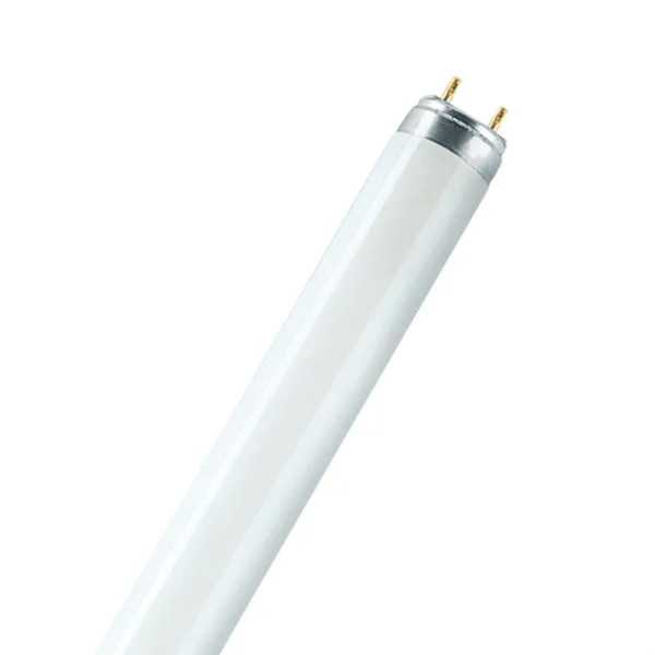 Lote de 25 Unidades Tubo Fluorescente 36 W 6500 K 3150 lm T8 120 cm G13 Luz Fria OSRAM