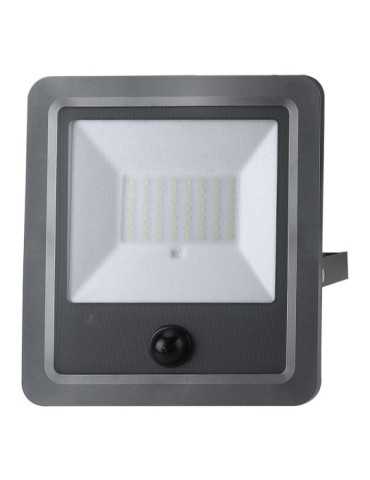 Foco Proyector Solar con Sensor 100 W 1200 lm 6500 K Luz Fría EDM 2
