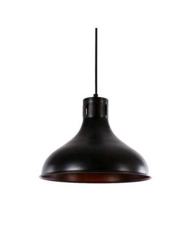 Lámpara de Techo Metalica Vintage E27 60W Color Negro Ø29 x 24 cm EDM