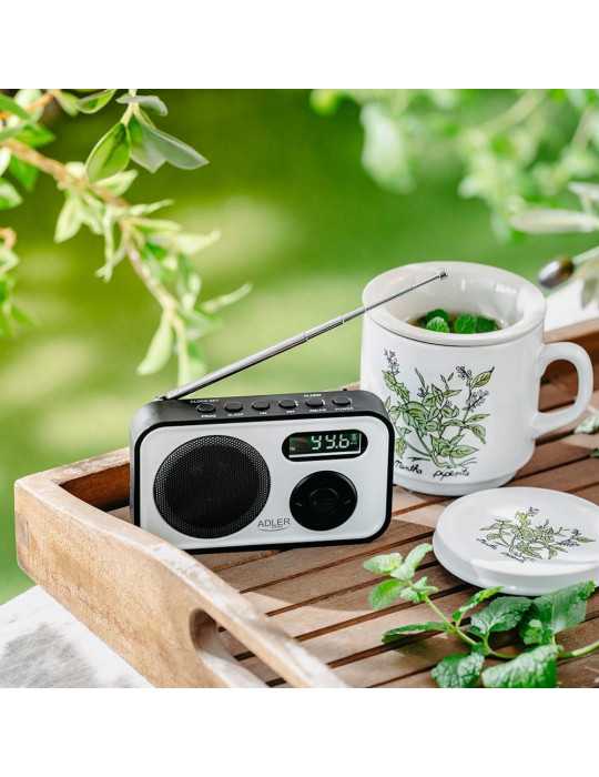 Radio Digital Pll Am/Fm Ad 1906, 12,5 x 3 x 7,5 cm ADLER