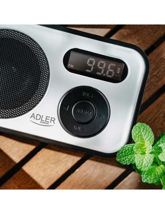 Radio Digital Pll Am/Fm Ad 1906, 12,5 x 3 x 7,5 cm ADLER