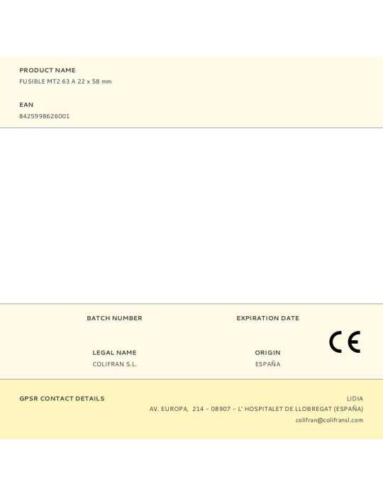 Lote de 10 Unidades Fusible MT2 63 A 22 x 58 mm DF ELECTRIC