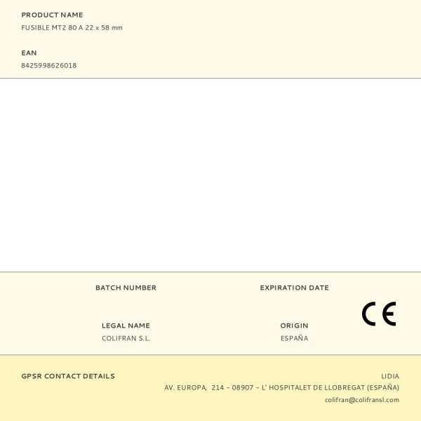 Lote de 10 Unidades Fusible MT2 80 A 22 x 58 mm