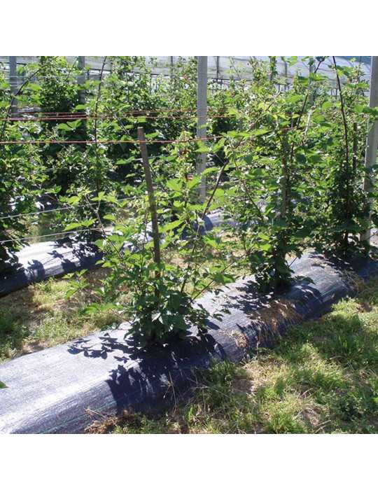 Malla Antihierba 100 g/m² Negra 1 x 100 m FAURA
