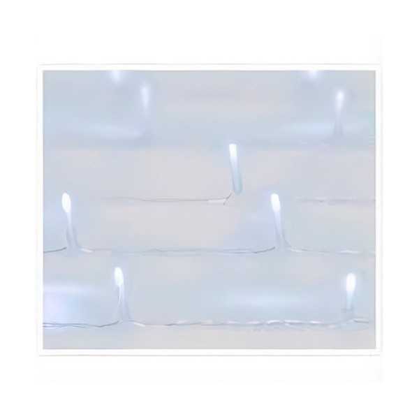 Cortina LED Exterior 480 LEDS Luz Blanco Frio 225 x 300 cm BASICS
