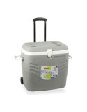 Nevera de Camping 41 l Color Gris con Ruedas HIDALGO