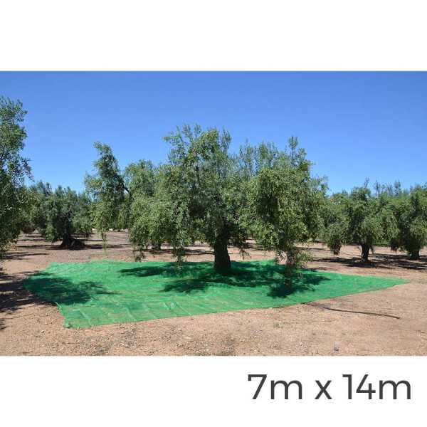 Manto para Recolecta de Frutos 7x14m Color Verde