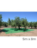 Manto para Recolecta de Frutos 5x8m Color Verde