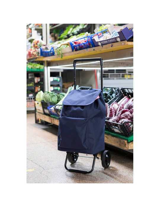 Carro de la Compra Argo Blue 45 l GIMI