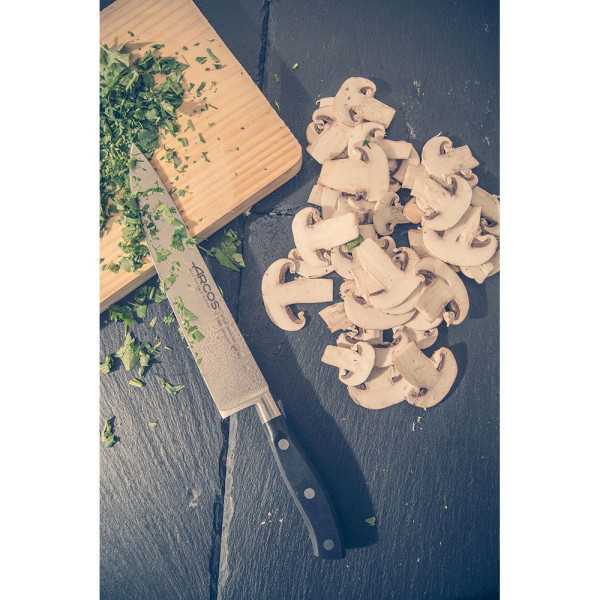 Cuchillo Cocinero Serie Riviera 200 mm ARCOS
