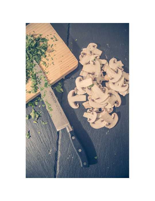 Cuchillo Cocinero Serie Riviera 200 mm ARCOS