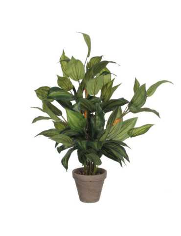 Maceta de Hosta Verde, 15,5 x 65 cm MICA DECORATIONS