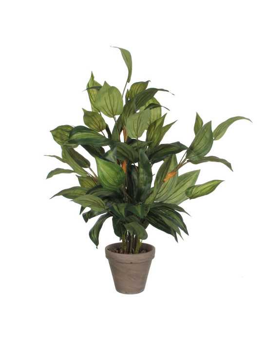 Maceta de Hosta Verde, 15,5 x 65 cm MICA DECORATIONS