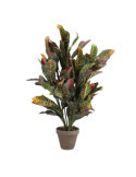 Maceta Croton Verde, 73 x 40 cm MICA DECORATIONS