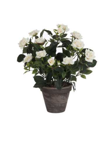 Maceta de Rosal Blanco, Ø11,5 x 33 x 25 cm MICA DECORATIONS