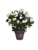 Maceta de Rosal Blanco, Ø11,5 x 33 x 25 cm MICA DECORATIONS