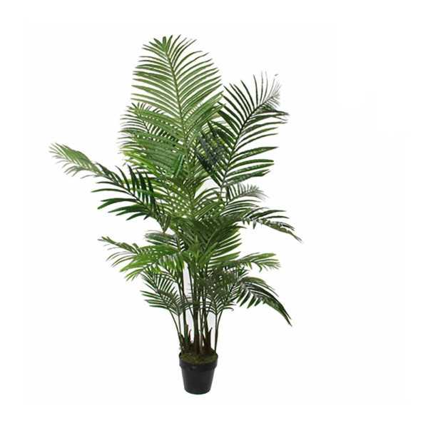 Maceta de Palmera Areca, Ø80 x 160 cm MICA DECORATIONS