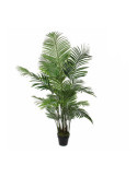 Maceta de Palmera Areca, Ø80 x 160 cm MICA DECORATIONS