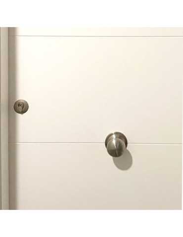 Pomo Puerta, Modelo PP02, de Acero Inoxidable con Acabado Inox, Ø70 mm, Blister MICEL 2
