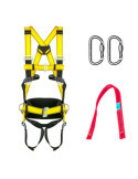 Arnes Ecosafex 8 031,281,001,001 PONSA