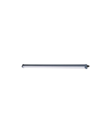 Regleta Estanca Projectline 34 w 3400 lm 6500 k 120 cm PHILIPS 2